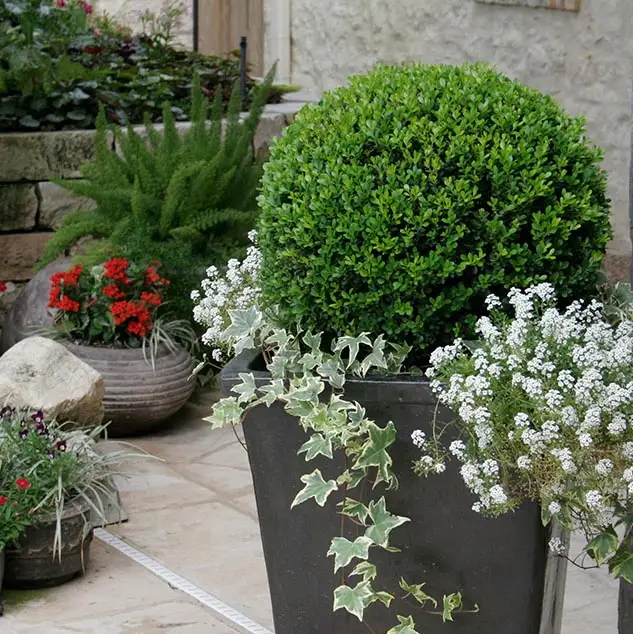 flower pots on home landscaping - back porch design