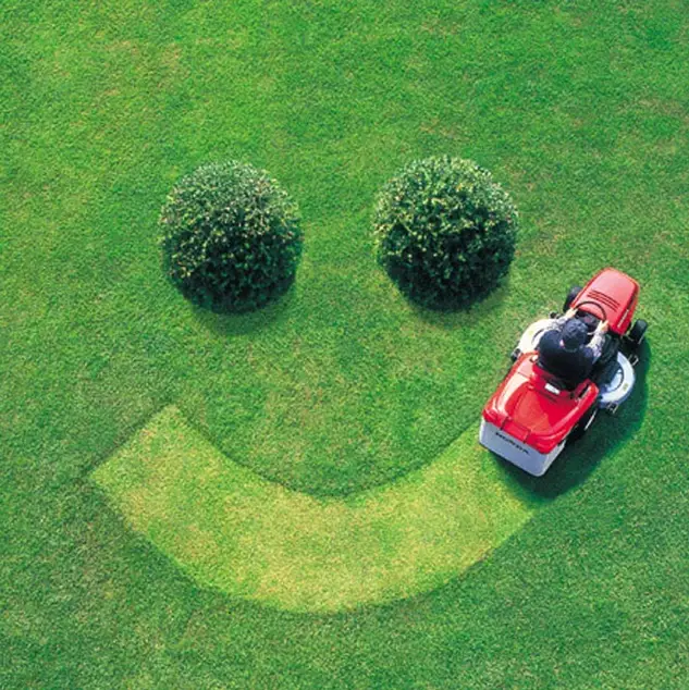 playful mowing job with smiley face cut into grass around two bushes for eyes