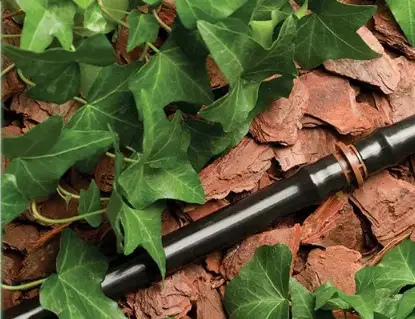 Drip irrigation system
