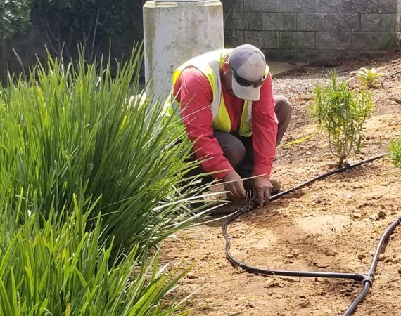 Irrigation