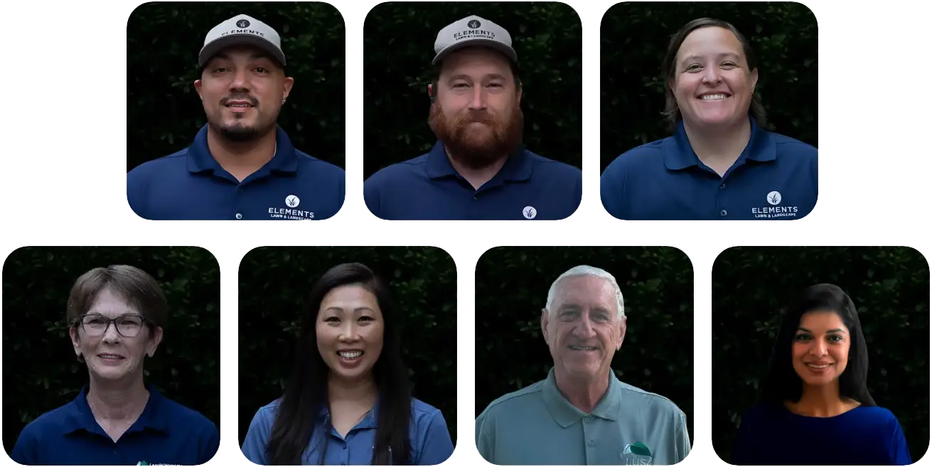 Elements Lawn and Landscape Team