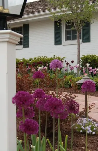 JBK Residence 1